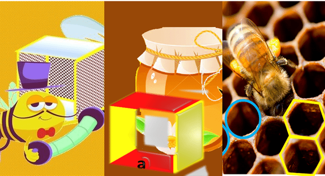 Honey bees and Geometry 