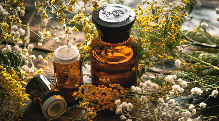 Herboriste conseillère