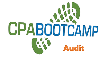 CPA AUD Study Scripts Full Course for Exam Preparation
