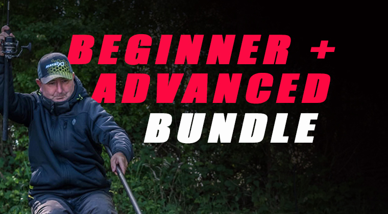 BEGINNER to ADVANCED Bundle (2 Courses)