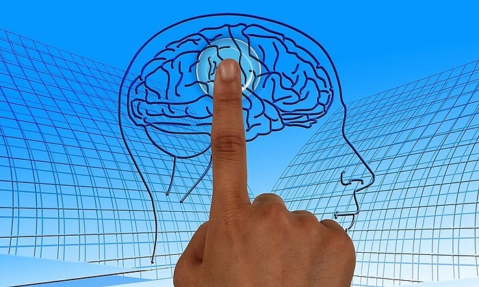 El pensamiento matemático y la ciencia en educación básica