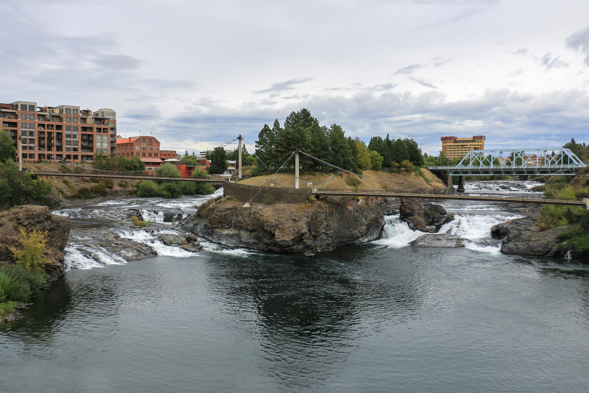 The Healing Collective X Spokane Network Membership