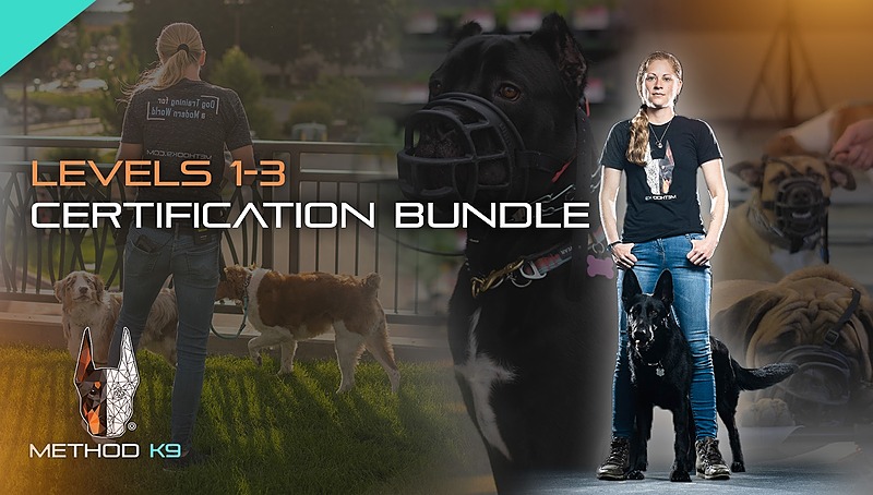 1-3 Certification Bundle