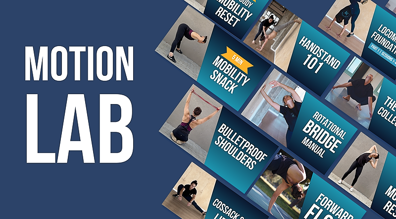 Motion Lab