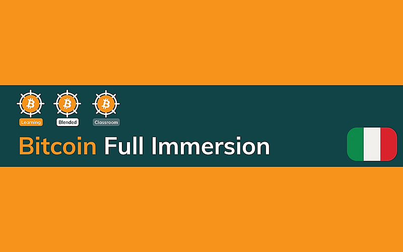 Bitcoin Full Immersion
