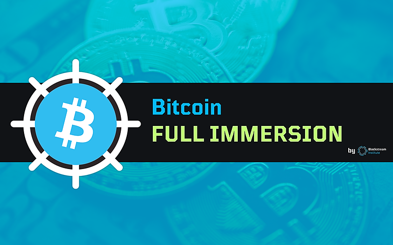 Bitcoin FULL IMMERSION