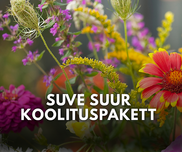 🌿 SUVE SUUR KOOLITUSPAKETT: Targalt taimedega – loogiliselt peenrasse!