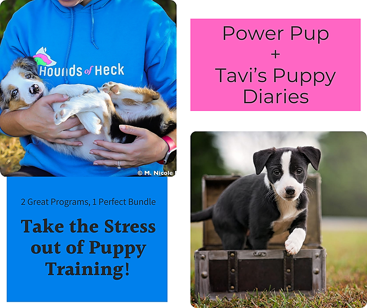 Complete Puppy Training Bundle
