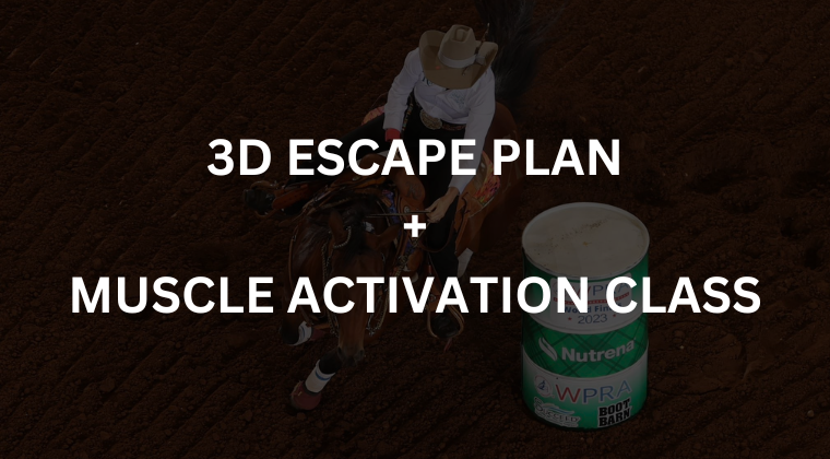 3D Escape Plan and MAC Bundle