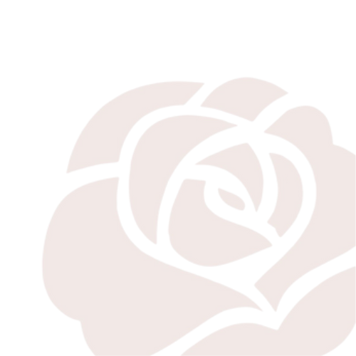 The Aesthetic Practitioner Introductory Series