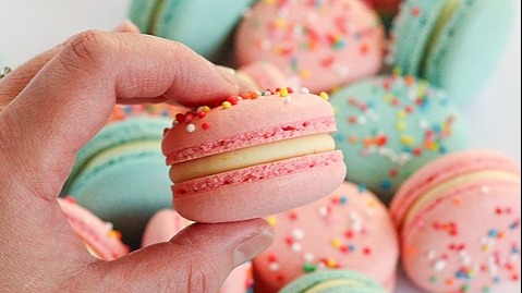 The Macaron Academy