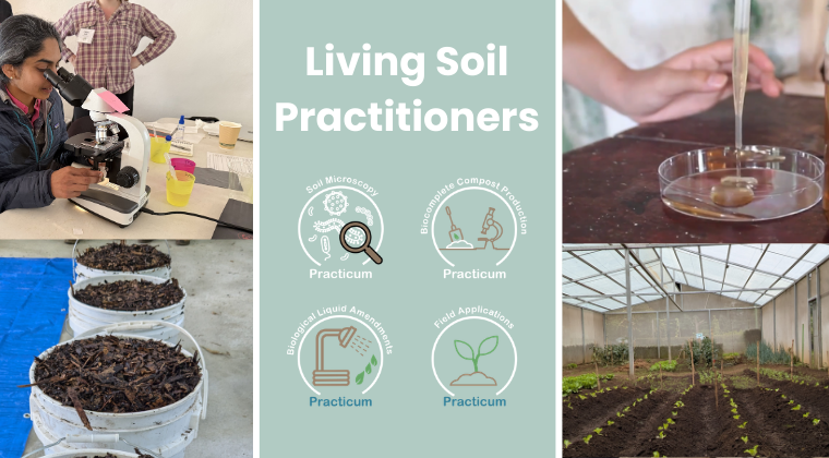 Soil Food Web - Complete Practicum 