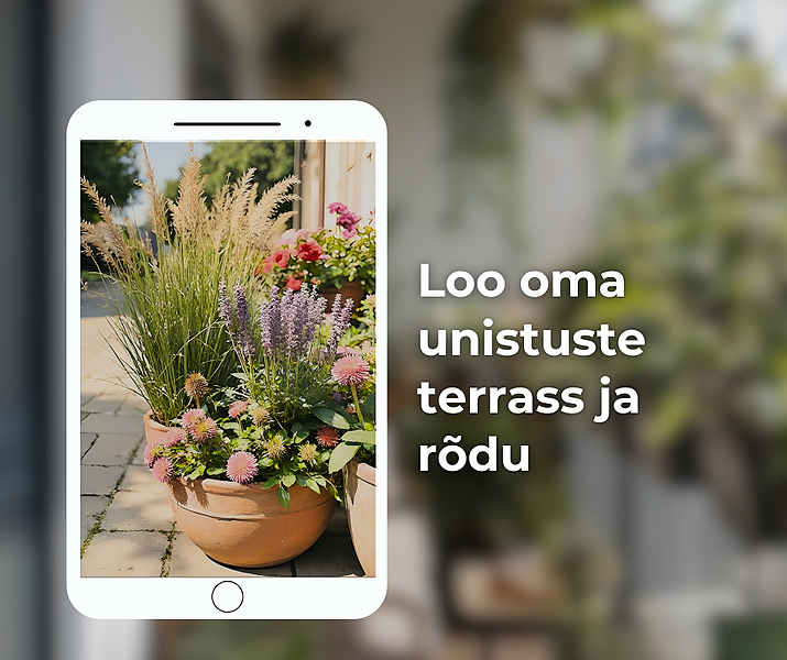 Rõdu ja terrassi kujundamise koolituste komplekt