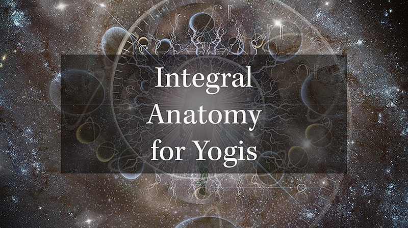 Integral Anatomy for Yogis 2027
