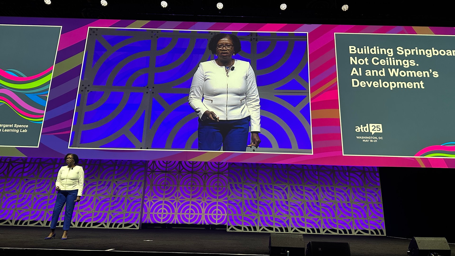 Margaret Spence speaking to an association audience