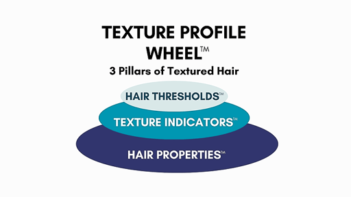 TDF™ Intermediate Course Bundle