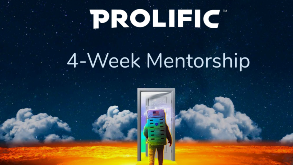 4 - Week Lite Mentorship Program