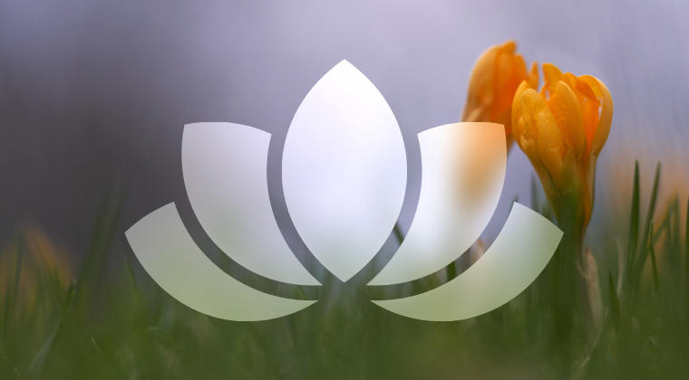 Mindful Sex for Couples