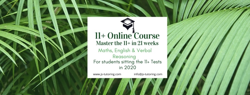 FEB 2020 11+ ONLINE COURSE