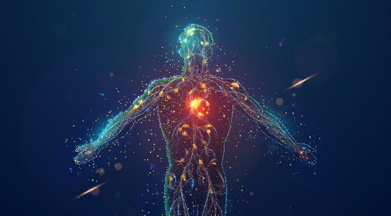 Your immune system and how to boost it