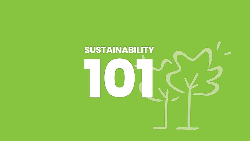 Fundamentos de Sostenibilidad
