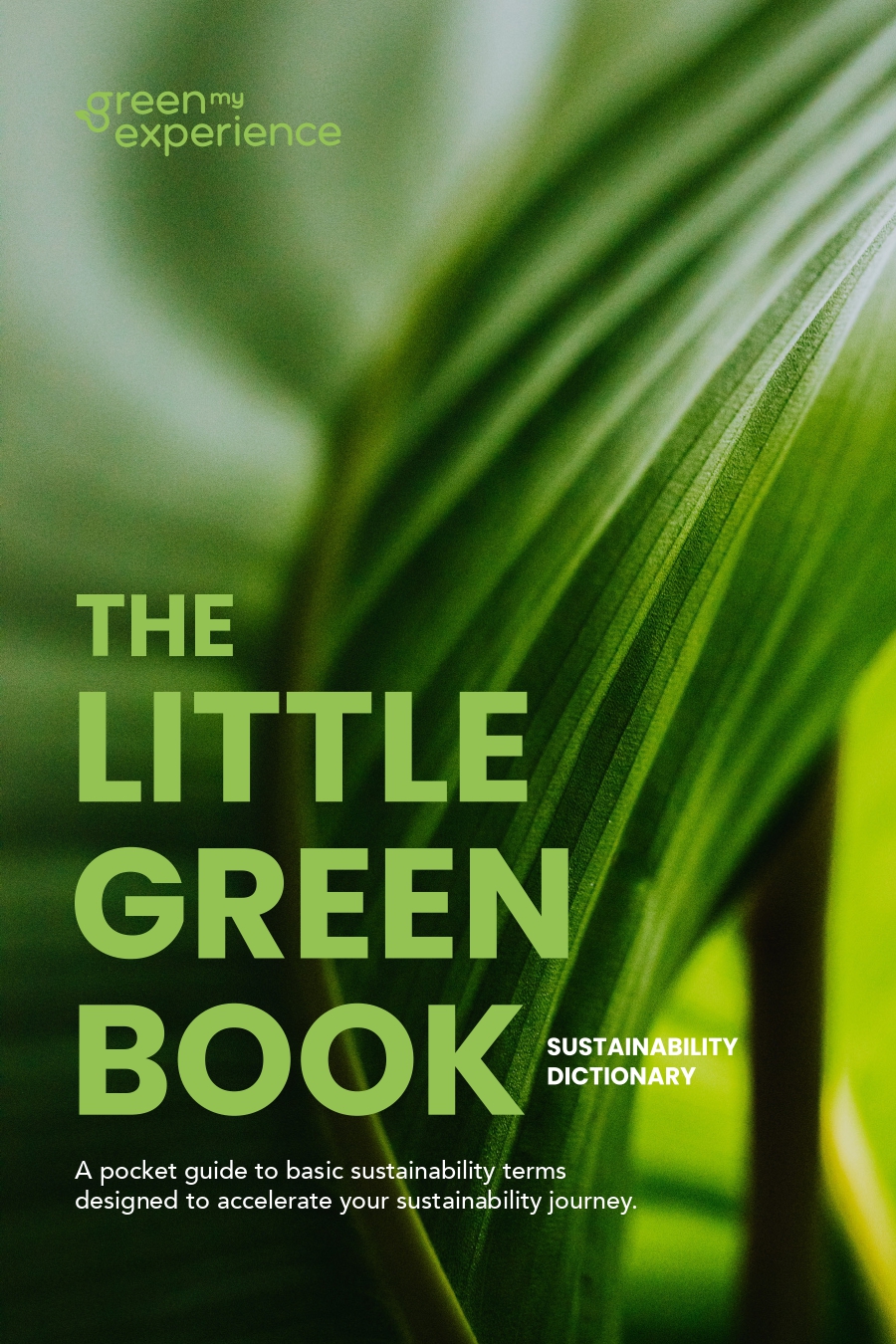 Vista del curso en teléfono