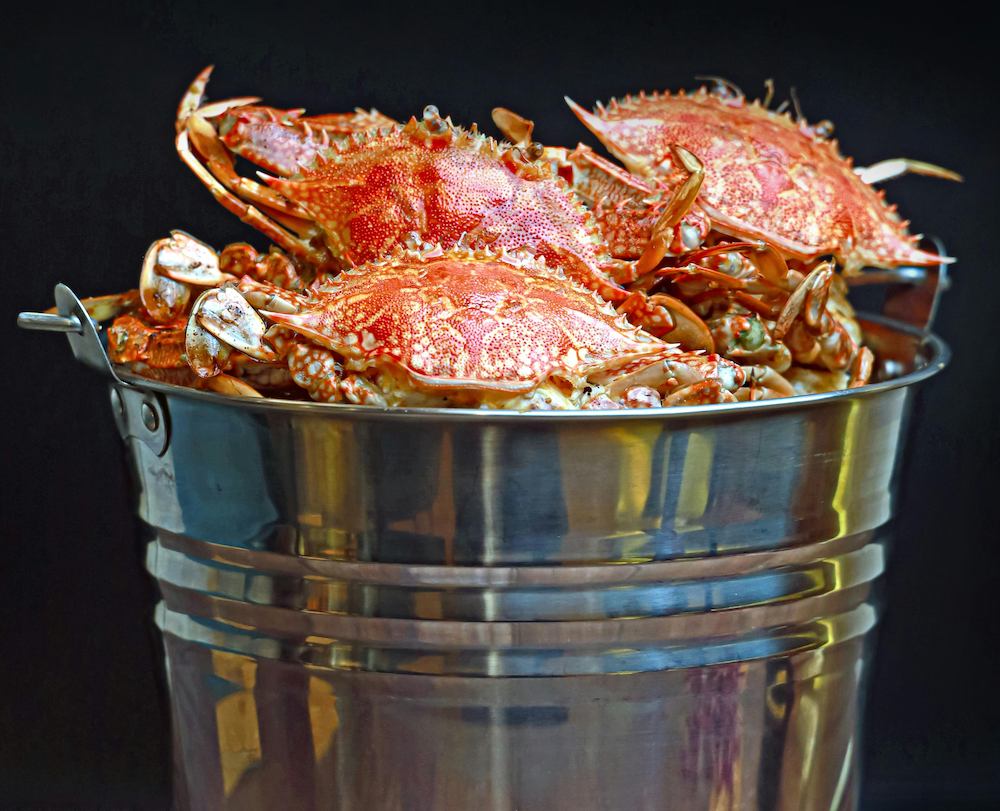 Crabs in a bucket