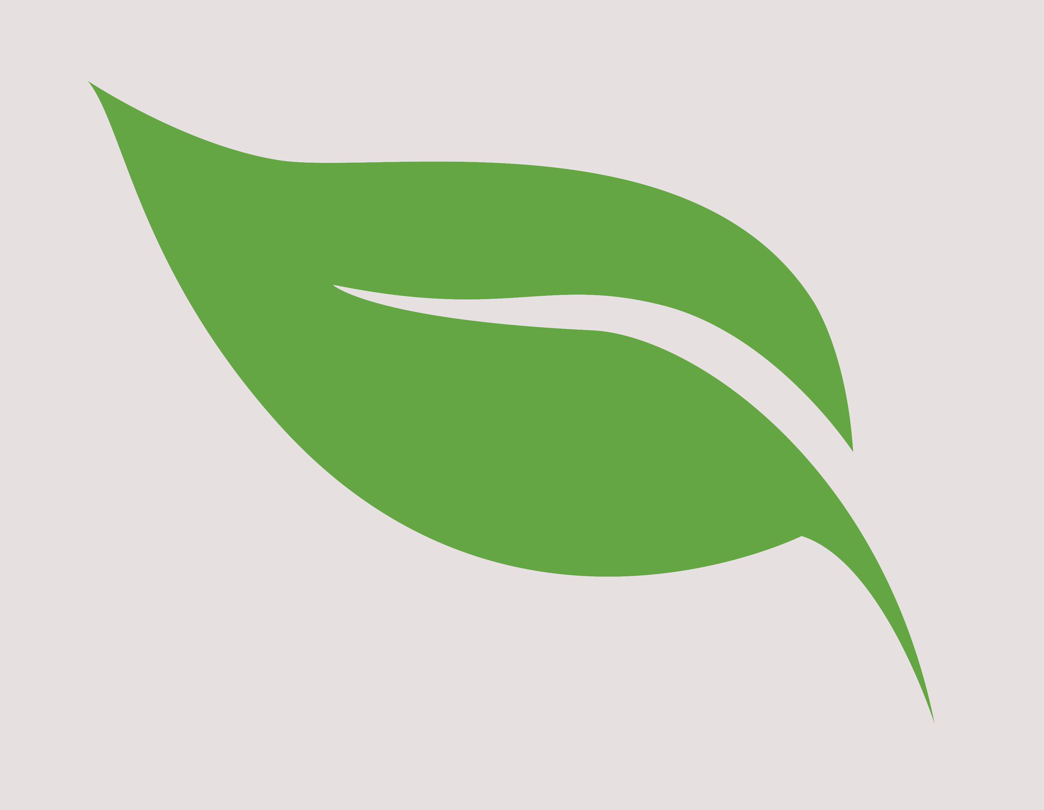 leaf icon