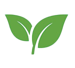 leaf icon