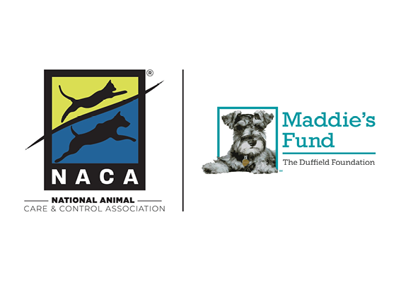 NACA USA