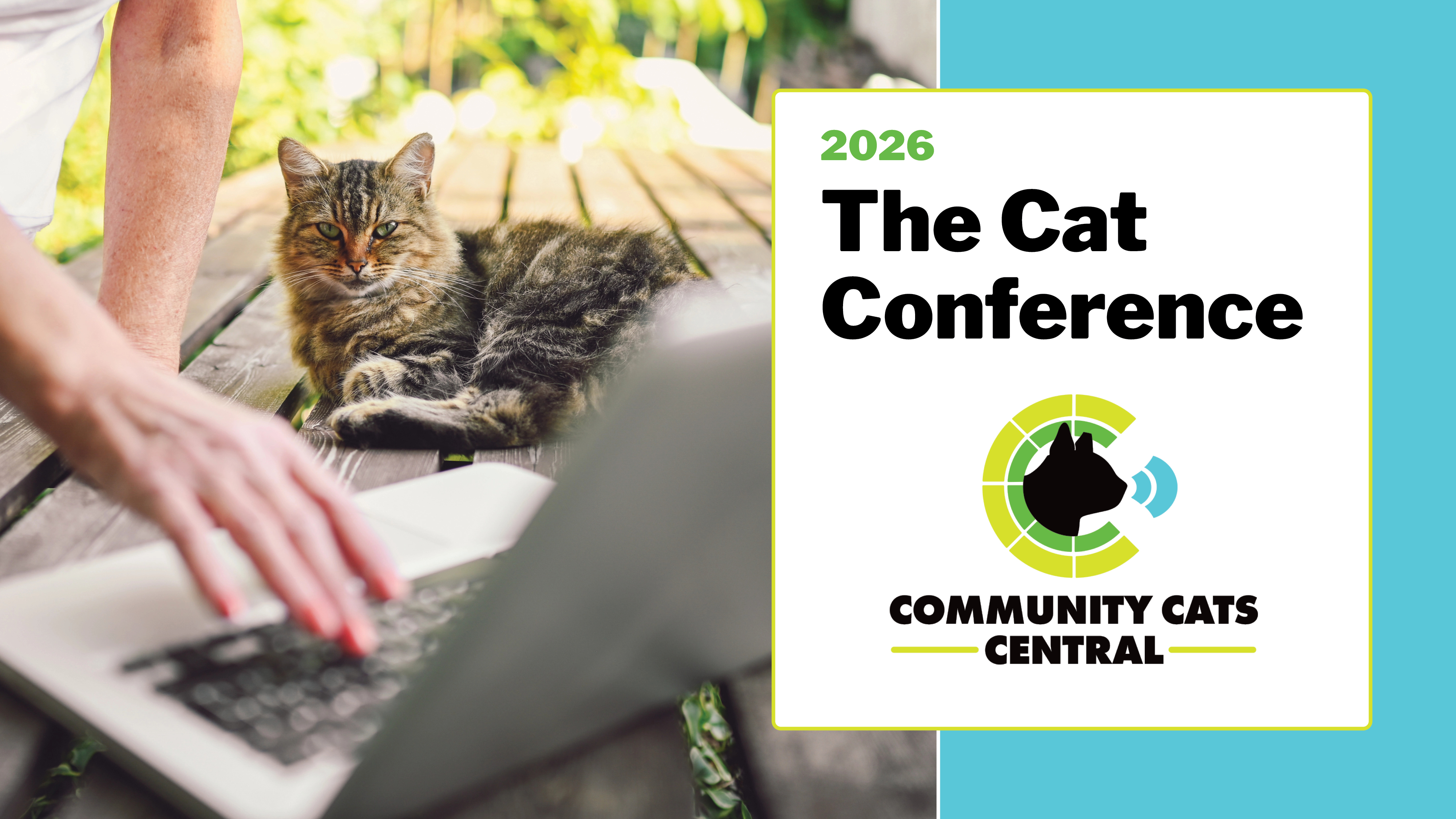 Community Cats Central Main Event