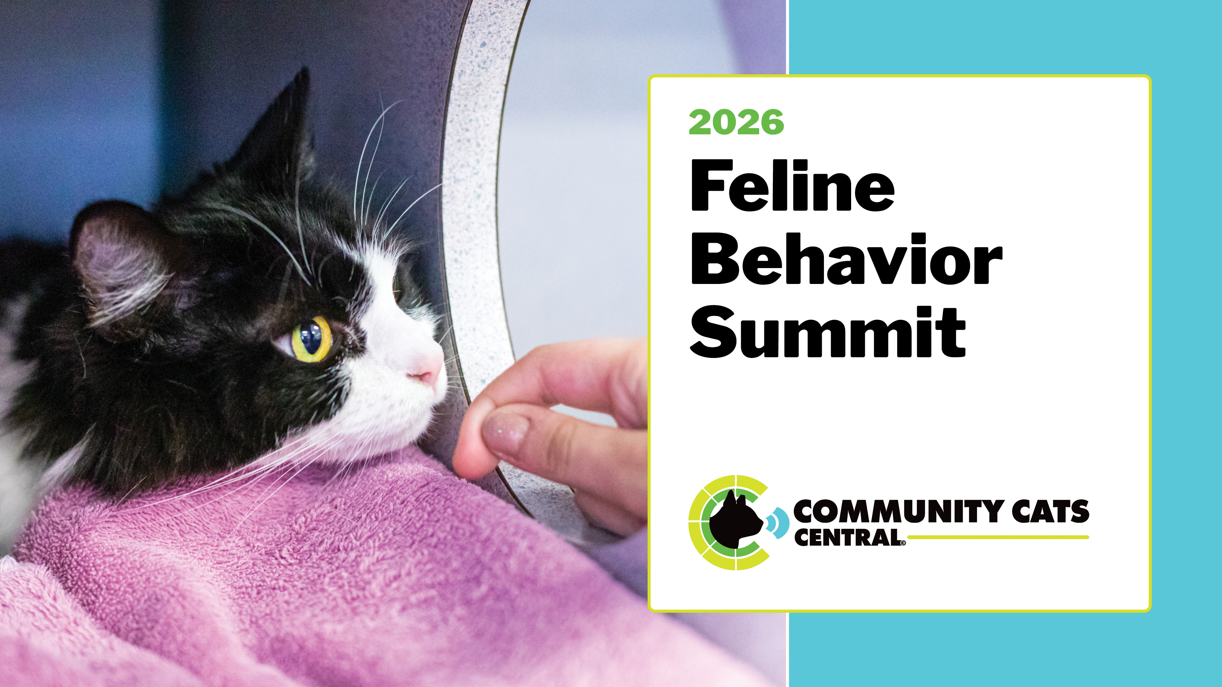 Community Cats Central Main Event