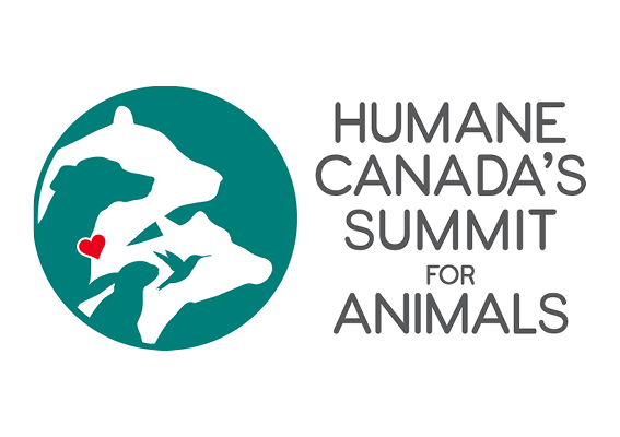 Summit for Aminals