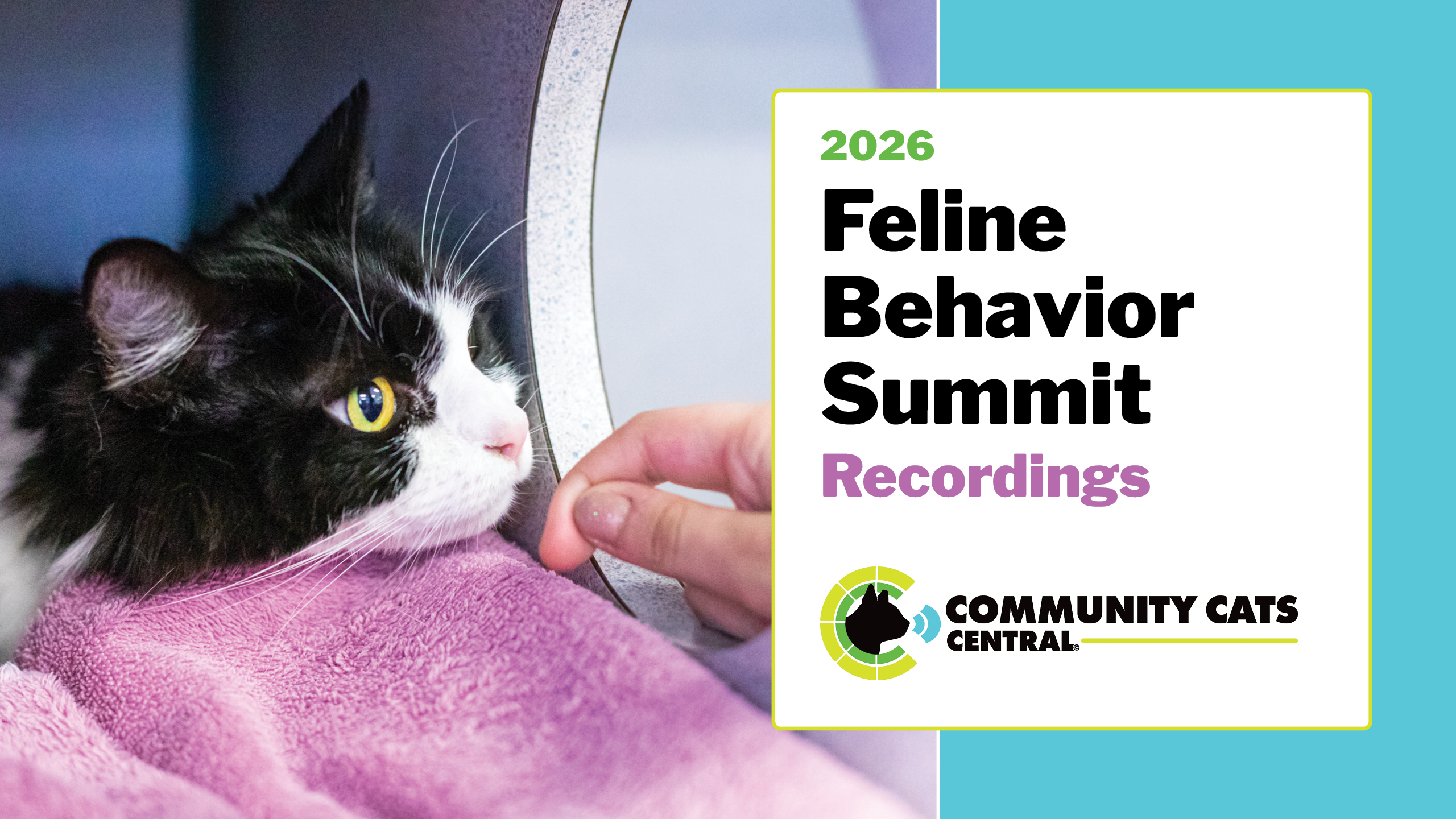 Community Cats Central Main Event