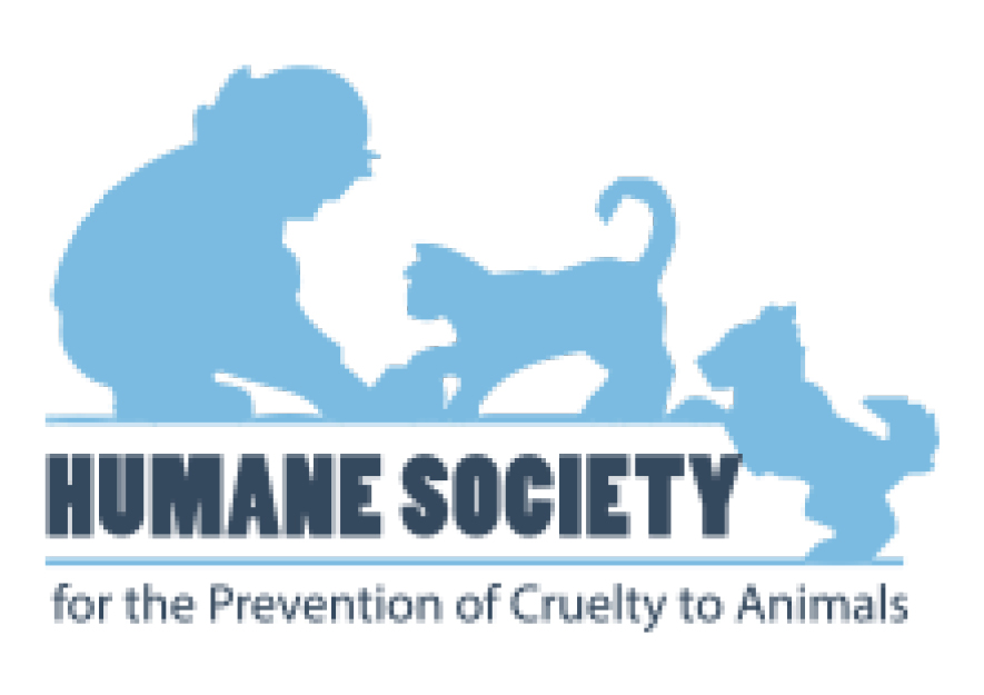 Humane Society of South Carolina
