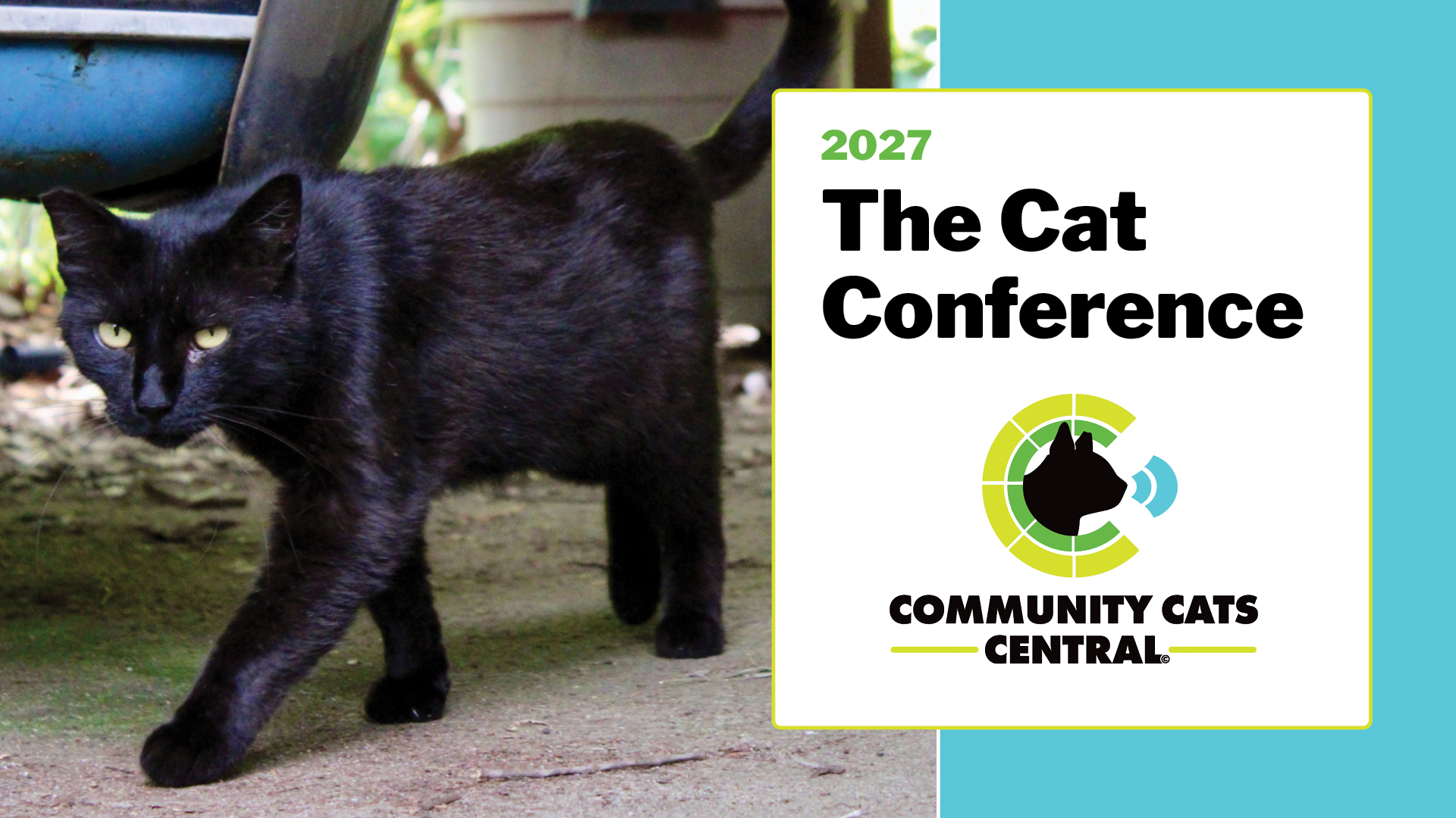 Community Cats Central Main Event