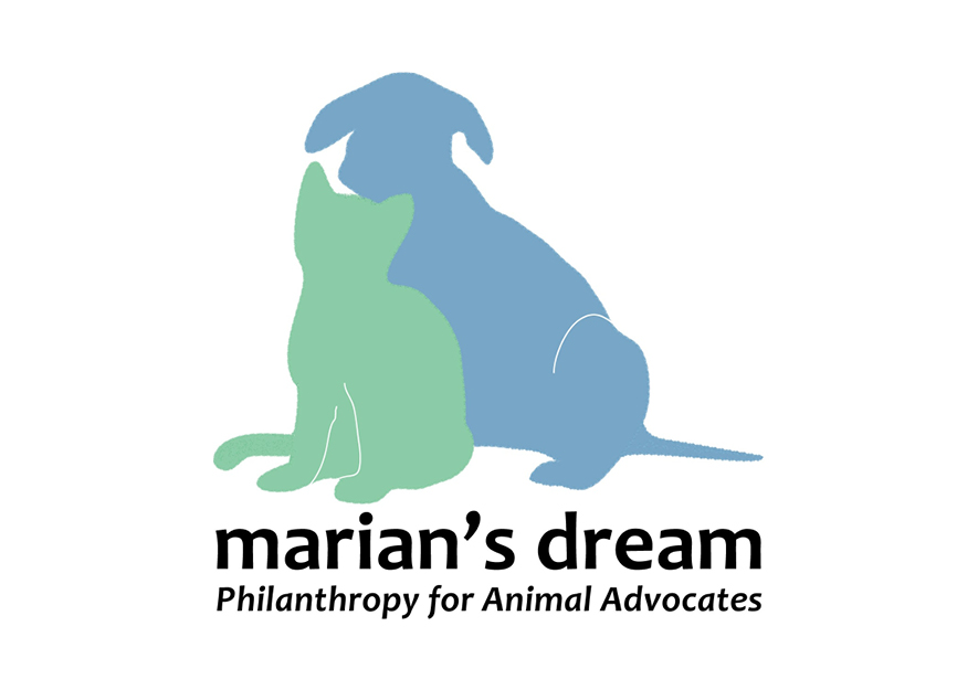 Marian's Dream