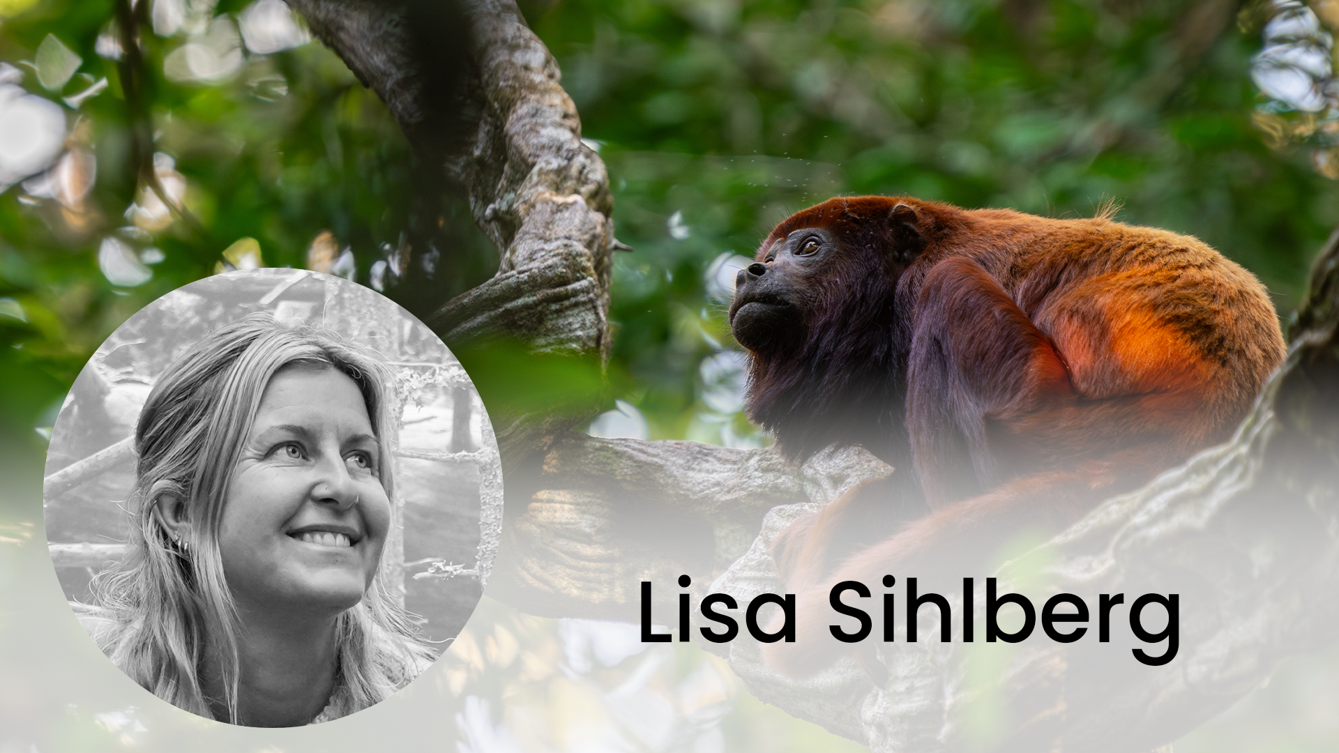 Terra möter Lisa Sihlberg