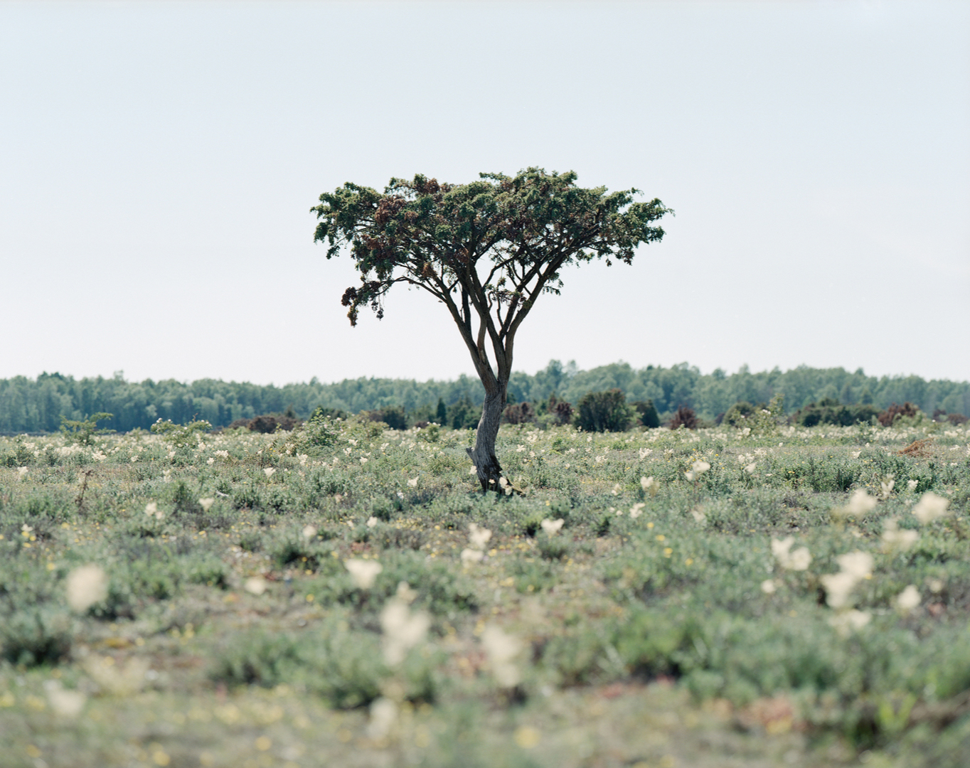 Exempelbild 1 – miniatyr