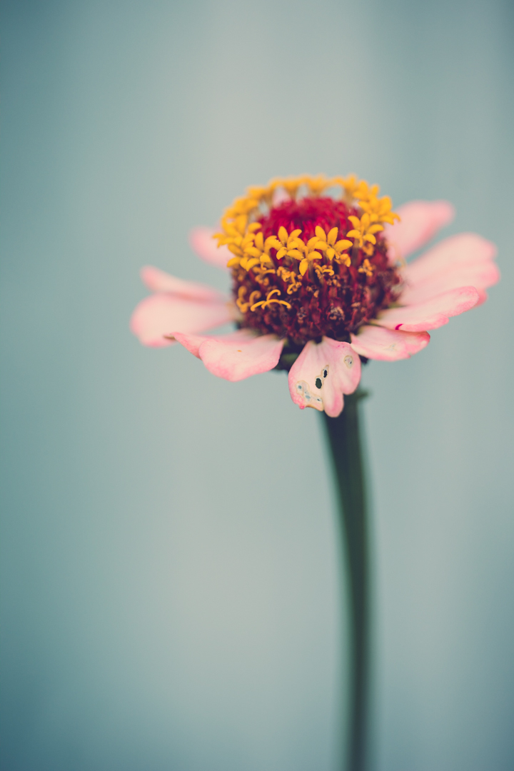 Exempelbild 4 – stor