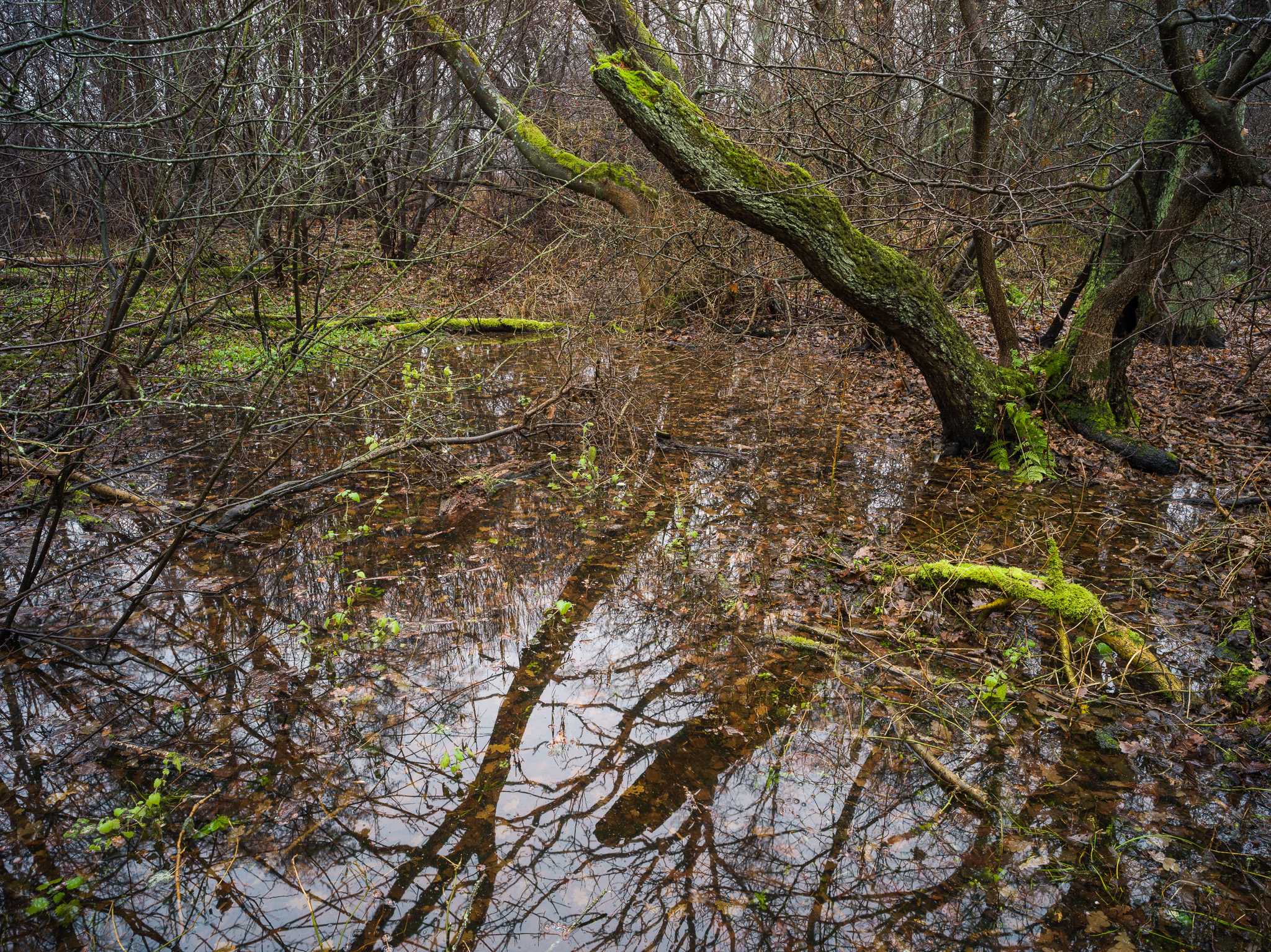 Exempelbild 3