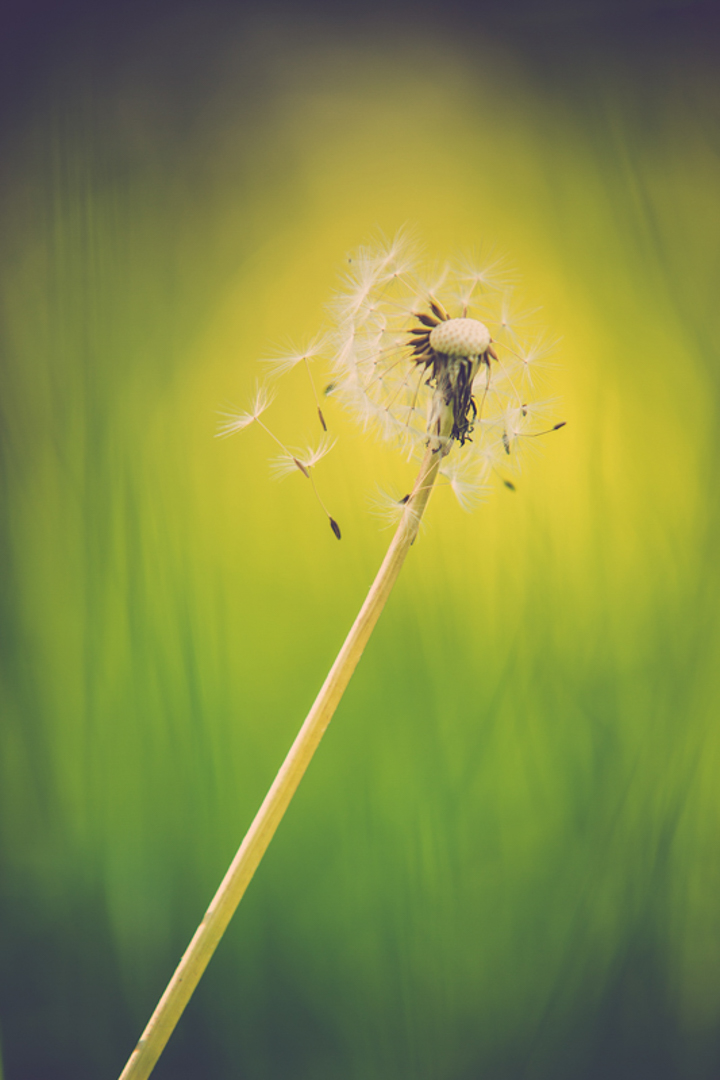 Exempelbild 3 – stor