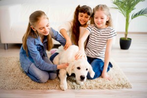 Children playing with a dog