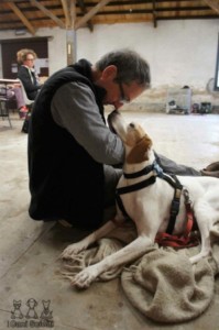 dog training clicker training empower dog