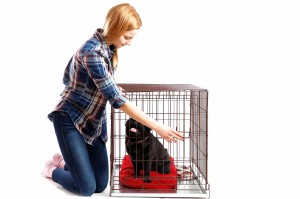 dogincratesmall