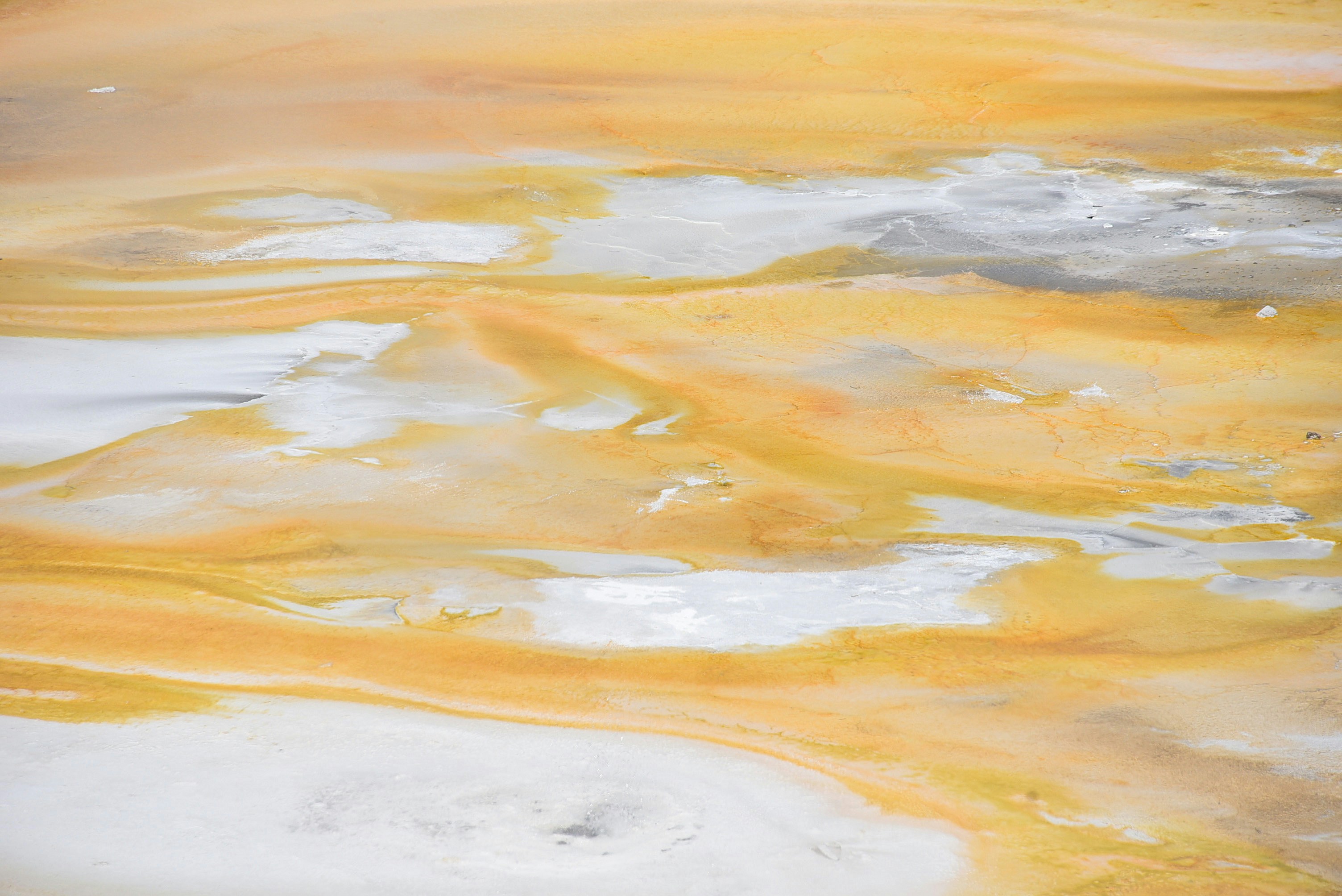 The Technology of Abundance