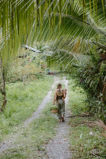 Raw Refuge nature Puerto Viejo