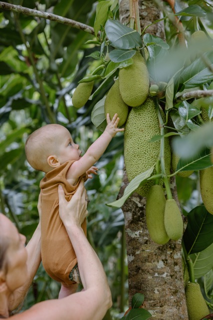 Tropical fruit abundance at Raw Refuge Costa Rica