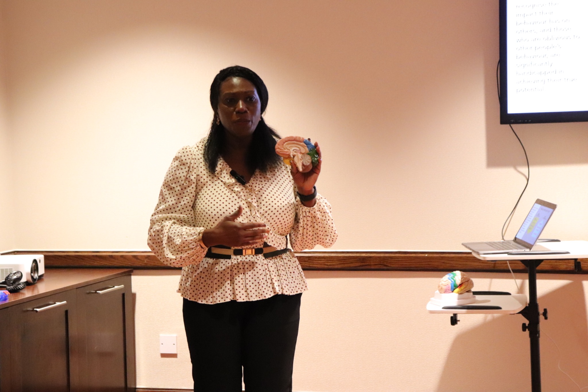 Maureen Chiana presenting and speaking with an audience