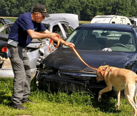Leash handling training
